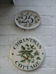 2011 11 19 rye gw 008